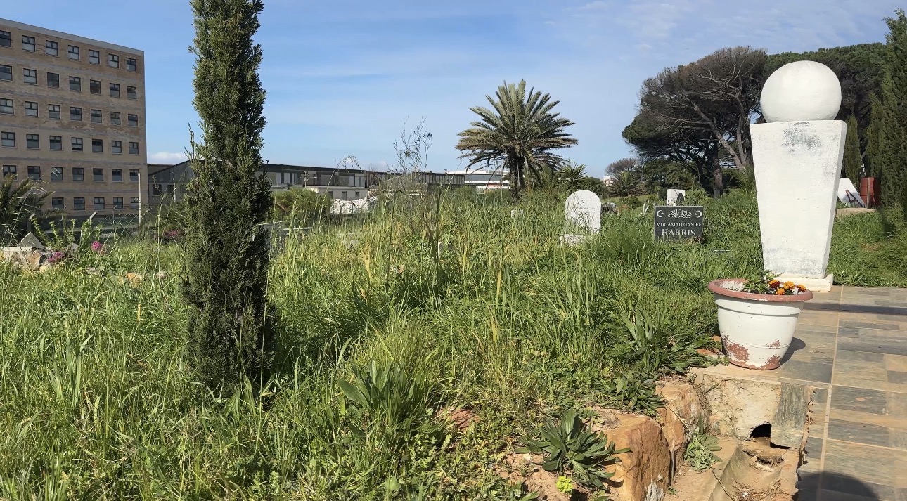 Years without regular AGMs or oversight have shown in the upkeep of the grounds.