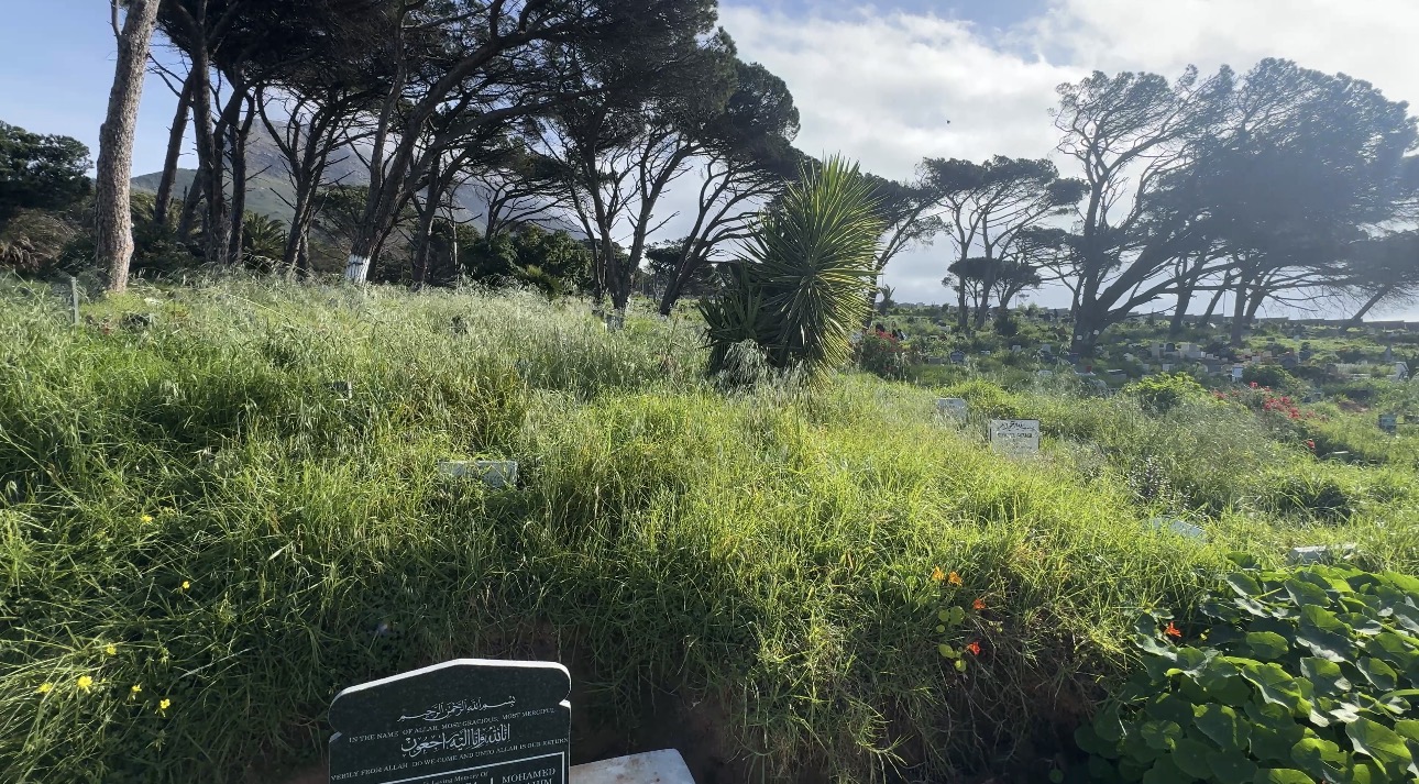 Years without regular AGMs or oversight have shown in the upkeep of the grounds.